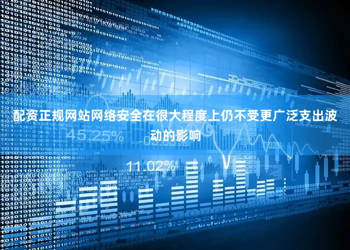 配资正规网站网络安全在很大程度上仍不受更广泛支出波动的影响