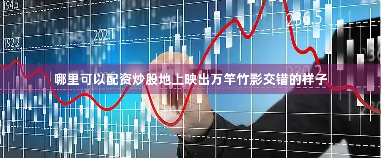 哪里可以配资炒股地上映出万竿竹影交错的样子