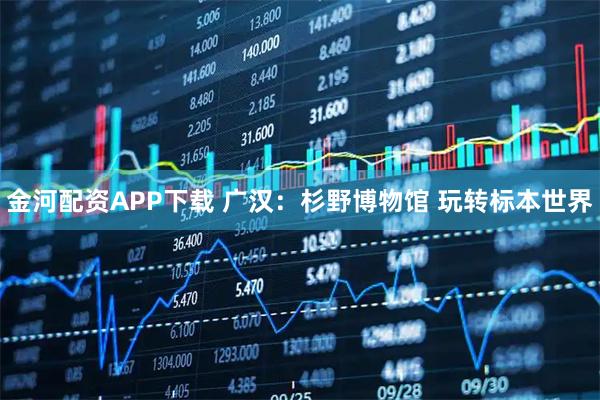 金河配资APP下载 广汉：杉野博物馆 玩转标本世界