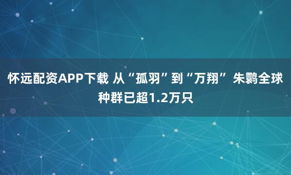怀远配资APP下载 从“孤羽”到“万翔” 朱鹮全球种群已超1.2万只